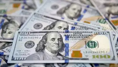 29 Kasım 2024 Dolar Kuru Ne Kadar?