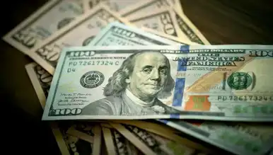 Dolar Kuru 20 Kasım 2024: 34,46 TL