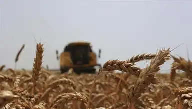 Küresel Gıda Fiyatları 19 Ayın Zirvesinde