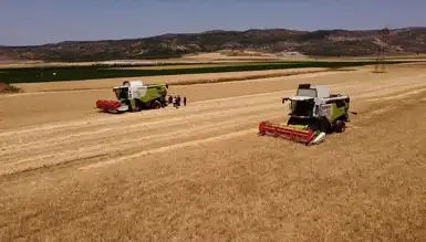 TMO'dan Yemlik Arpa ve Yulaf Desteği