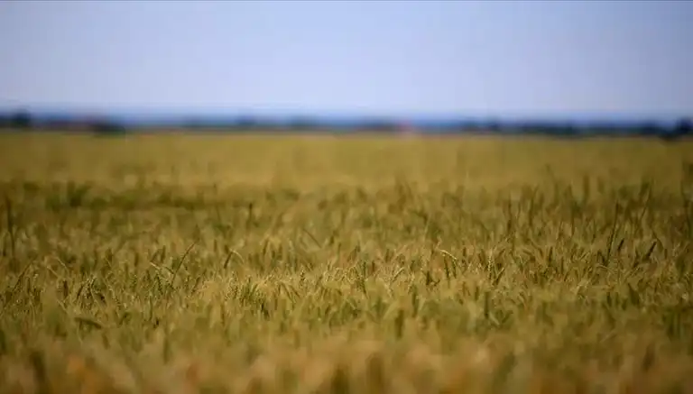 Tarım Girdi Maliyetlerinde Kritik Yükseliş!